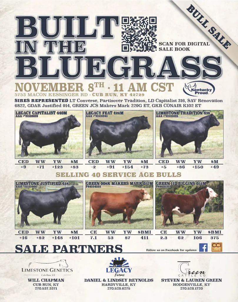 Built in the Bluegrass Flyer