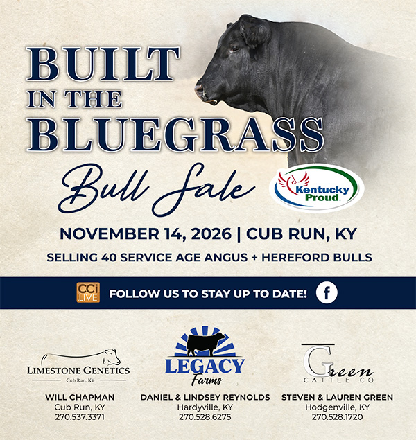 Built in the Bluegrass Flyer